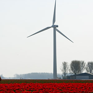 آناتومی توربین بادی