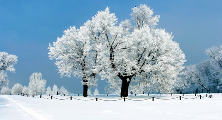 پیش بینی وضعیت جوی ۷ روز آینده استان گیلان